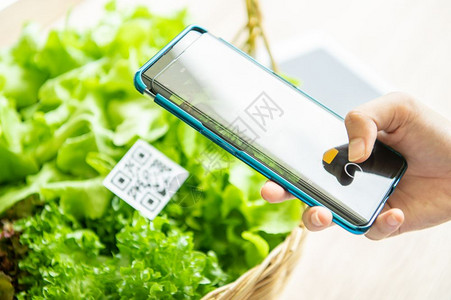 顾客食物移动的户从水栽培农场购买有机蔬菜并使用食品市场商店的QR代码扫描系统收费技术与未来商业E钱包和数字无现金概念支付费用E钱背景图片