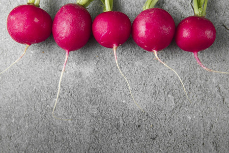 灰混凝土背景的紫色萝卜种植生长的萝卜蔬菜季节烹饪食物配制着欧洲红萝卜拉法努斯Raphanussativus生食品的概念收成紫色具图片