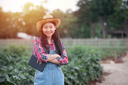 土壤亚洲妇女农业学家和民利用技术对业和有机植物田进行检查农艺师和民使用技术对业和有机植物田进行检查收成农田图片