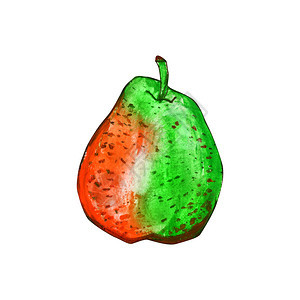 植物巴特利季节白底橙色和绿水果上一个孤立的梨子在一条斑点手工绘油糊面图解中用于食品标签设计生态产品之一白底被孤立的梨子图片