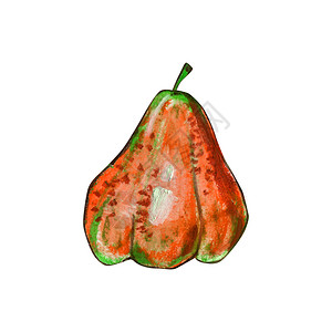 维他命生的白底橙色和绿水果上一个孤立的梨子在一条斑点手工绘油糊面图解中用于食品标签设计生态产品之一白底被孤立的梨子小吃图片