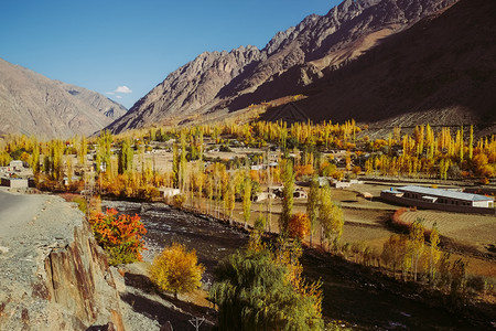 新鲜巴基斯坦GilgitBaltistan的秋天树多彩与兴都库什山林相对抗清晨Gupis山谷小村庄风景美蓝色的绿图片