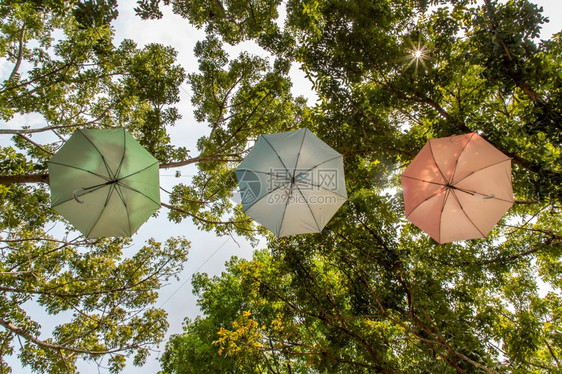高架东方的从下面蓝色天空看到三个亮丽多彩的雨伞挂在空中森林伞作为装饰节日挂在森林伞里五彩缤纷图片
