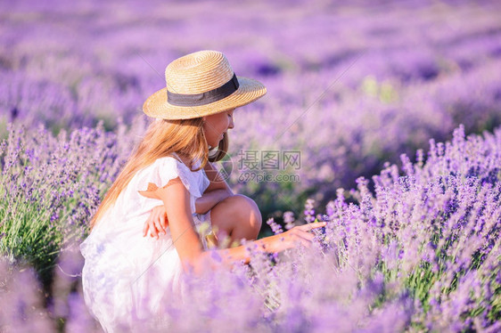 丰富多彩的自由穿白衣服的紫花田小可爱女孩穿着白礼服和帽子的紫衣花田薰草图片