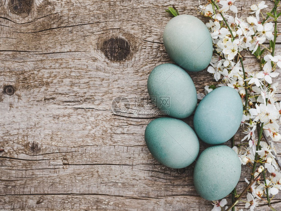 天复活节鸡蛋由上方彩色涂料绘制没有人纹理为爱亲戚朋友和同事祝贺复活节鸡蛋与上方彩色涂画绘绿象征图片