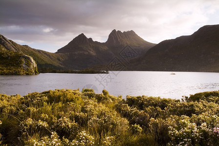 寒冷的塔斯马尼亚Tasmania的标志图象摇篮山CradleMountain坐落于太阳光闪耀的黄昏中最佳图片