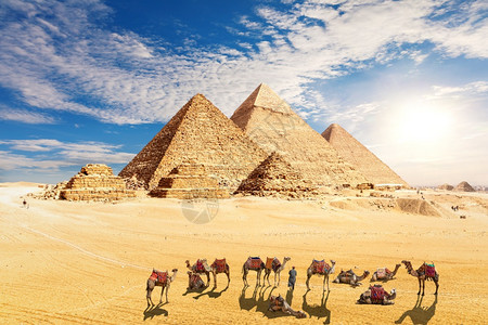 古老的amelcaravan在沙漠中的埃及金字塔附近休息吉萨amel在沙漠中的埃及金字塔附近休息吉萨目的地轮廓图片