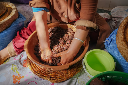 提炼传统的当地摩洛哥妇女手工制针油糊以提取摩洛哥Argan石油Essaouira索维拉图片