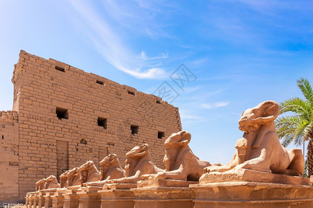 冲头古老的美丽卡纳克神庙公羊头狮身人面像雕卢克索埃及卡纳克神庙埃及柱子村庄背景