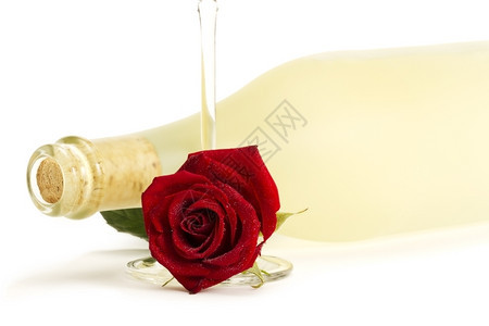 长笛饮料水晶湿红玫瑰空的香槟杯子前面一个纯正的香酒瓶湿红玫瑰和空的香槟杯子在白背景的一个枯燥prosecco瓶子前图片