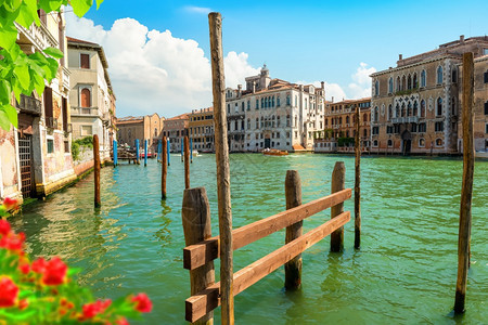 文化夏天意大利威尼斯运河上的鲜花图片