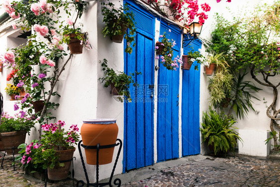 颜色西班牙安达卢亚州科尔多瓦典型的Andalusia院落窗户美丽的图片