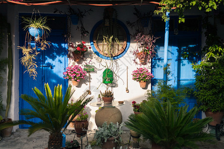 盛开西班牙安达卢亚州科尔多瓦典型的Andalusia院落开花图片