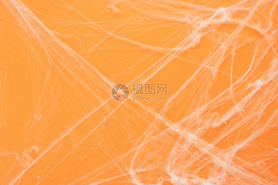 森林为了薄雾花旗外饰首基本天体橙色纸质空间用于创意设计的白网蜘蛛相框上白色蜘蛛在橘纸面上的画像中被刻成创造设计图片