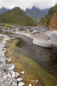 沟壑塔布里恩特河卡尔德拉塔布里恩特公园生物圈保护区拉帕尔马加那利群岛西班牙欧洲避难所观察图片