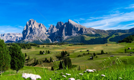 高山多洛米蒂峰Dolomites的Seceda山脉TrentinoAltoAdigeValdiFunes山谷意大利南蒂罗尔背景中图片