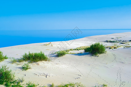 海滩干燥夏季风景有白色沙丘灌丛和天空的白沙丘丛林和天空世界图片