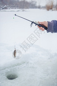 带钓竿的ricky渔民特写雪咬为了图片