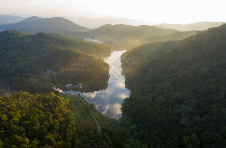 美丽的日出松林下泰国湖水库图片