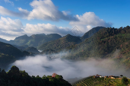 亚洲阳光土井清迈泰国冬季山广受欢迎的旅游景点及喷雾的风云位于泰国清迈市Angkhang茶叶农场图片