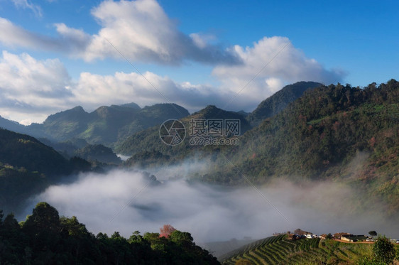 亚洲阳光土井清迈泰国冬季山广受欢迎的旅游景点及喷雾的风云位于泰国清迈市Angkhang茶叶农场图片