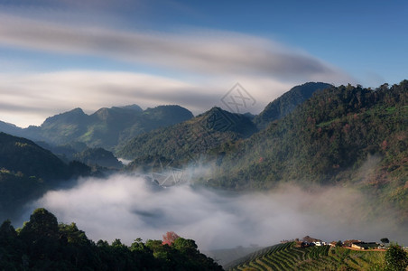 皇家麦清迈泰国冬季山广受欢迎的旅游景点及喷雾的风云位于泰国清迈市Angkhang茶叶农场热带图片