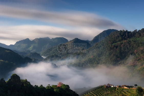 皇家麦清迈泰国冬季山广受欢迎的旅游景点及喷雾的风云位于泰国清迈市Angkhang茶叶农场热带图片