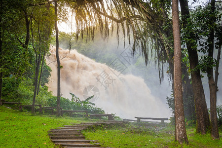 土井泰国清迈Wachirathan瀑布DoiInthanon公园深林中的瀑布旅行水图片