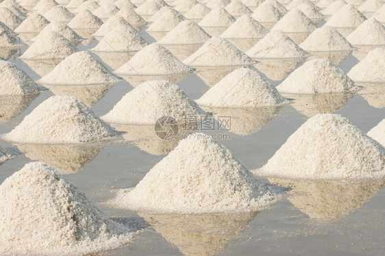 传统的长方形田里堆积了大量的盐类矿图片