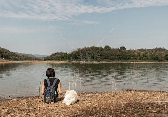 动物草女士一个年轻的亚洲女人背影带着白狗坐在湖边享受宁静的美丽景色背是山脉宠物和女人休息享受生活方式没有焦点特别是图片