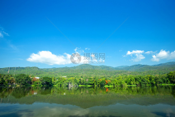 季节麦风景AngKaewChangiMai大学森林山蓝天背景白云山林自然之路的一幅景图图片