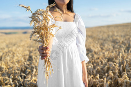 黑麦身着白裙子的妇女站在田地上有小麦的妇女在田地上人手握着一捆成熟的松饼收割季节高品质的有照片穿白色衣服妇女站在田地上有小麦的人图片