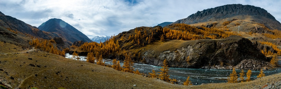 全景是阿尔泰一条流经阿尔泰山脉和该地区自然的山河流全景是阿尔泰一条流动在阿尔泰山脉和该地区自然之间的山河流荒野雄伟支撑图片