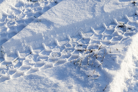 冬季雪在下后出现冬季的雪流在天飘动季出现了哪一个发情图片