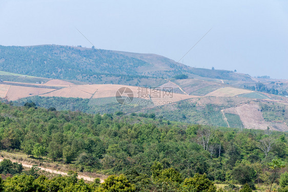 庄稼棕色的范围泰国北部家公园区高山的当地农田方面积图片