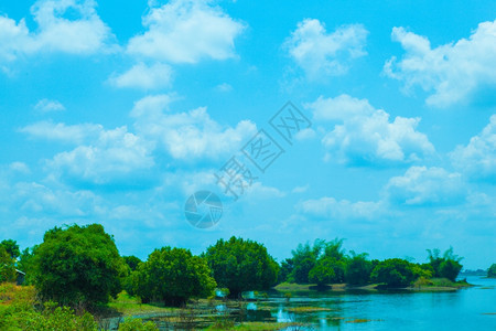 池塘水边两岸的树林天上云雾笼罩充满活力蓝色的图片