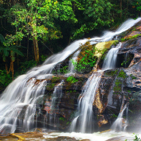 颜色森林泰国清迈省DoiInthanon公园泰清迈省丛林植物和瀑布DoiInthanon公园热带雨林景观级联图片