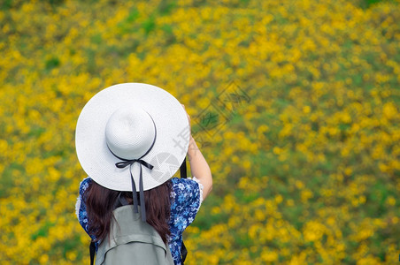 数字的镜片年轻女拍摄了墨西哥向日葵田泰国梅洪松省DoiMaeUKho山上美丽的黄色花朵泰国MaeHongSon省DoiKho女士图片