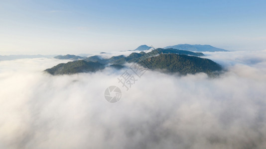 单色寒冷清晨森林山上美丽的空中雾海绿山PangPuayMaeMoh泰国Lampang泰国林中空见雾神秘图片