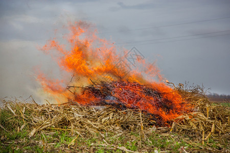 热生态细节烧树叶打扫花园时生火农场秋天的家务活浓烟燃烧的树叶打扫花园时的火背景图片