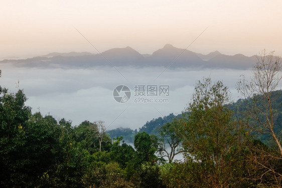 森林黎明时的海云其背景为泰国南沙布里家公园南省山地脉图景NanthaburiNationalParkNan省生态处女图片