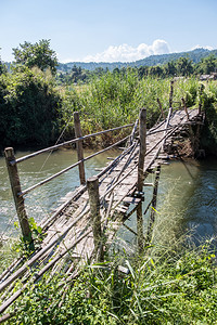行人森林旧竹桥穿过当地农民稻田附近的小河横渡大片植物图片