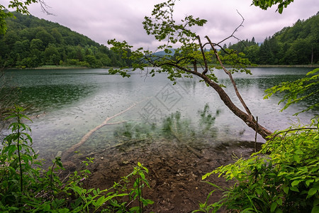 翠溅克罗地亚普利维茨湖泊公园雨天森林图片