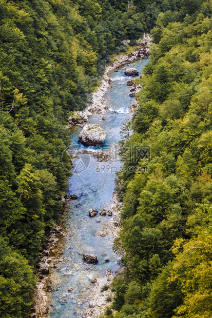 峡谷从Djurdjevic桥到Tara锥美丽的山地风景环境天空图片