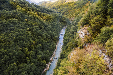 荒野从Djurdjevic桥到Tara锥美丽的山地风景全锥体图片