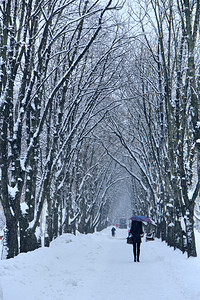 场景下雪时伞的孤独女孩在冬季公园散步有树木和小径的美丽冬季公园天在城市公园散步的女孩长廊下雪图片