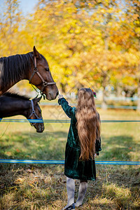 美丽的肖像自然快乐女孩骑马站在棚的栅栏附近一个孩子坐在马背上野和花头女孩在腰上手推站在棚的围栏旁边图片