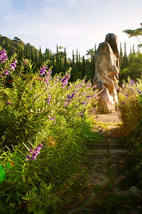 夏天在泰国热带植物园Yala花的紫色朵和大块石头上闪耀日出花园对公众开放风景假期图片