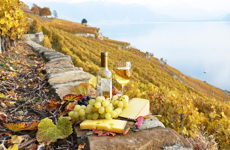 束浪漫瑞士Lavaux地区露台葡萄园的酒杯和瓶子开器图片