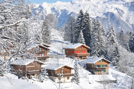 冬季雪景风光图片